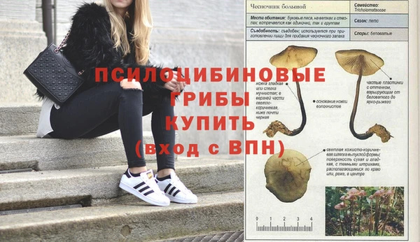 гашиш Дмитровск