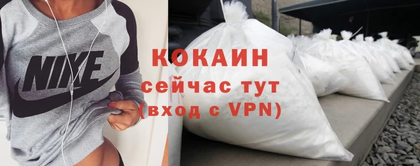 дмт Дмитров