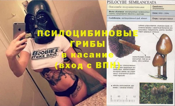 дмт Дмитров