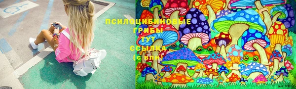 меф Дмитриев
