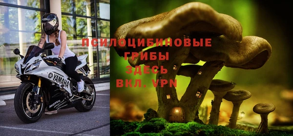 дмт Дмитров