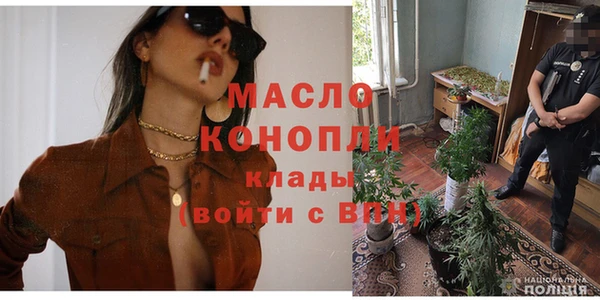 меф Дмитриев