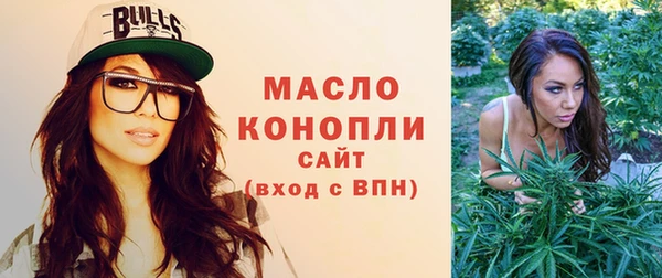 дмт Дмитров