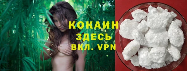 дмт Дмитров