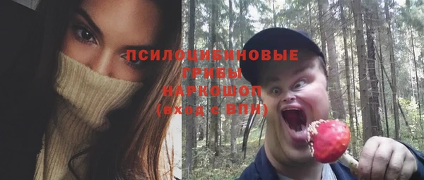 дмт Дмитров