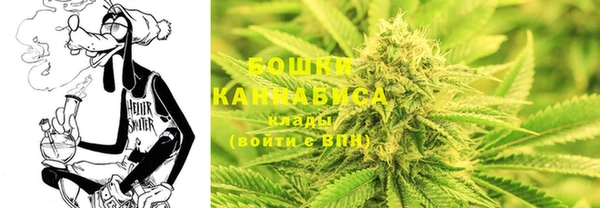 дмт Дмитров