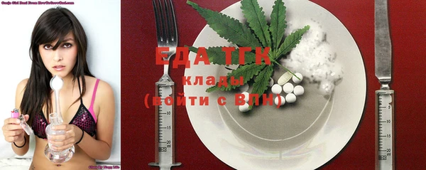 дмт Дмитров