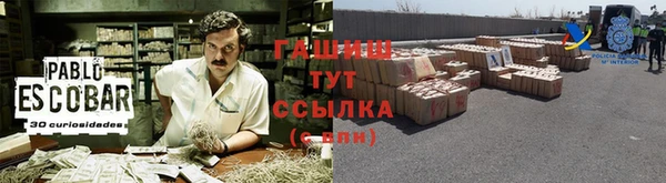 дмт Дмитров