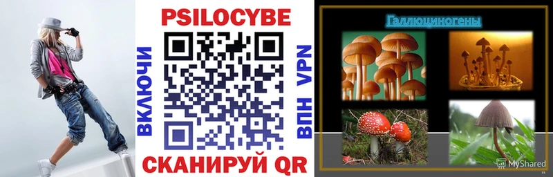 Купить закладки  Иннополис  Псилоцибиновые грибы Cubensis 
